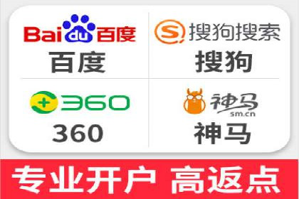 某某SEM团队成功案例：广告投放策略揭秘